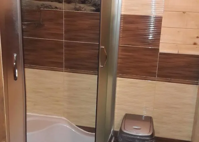 Легенда Карпат 招待所 *