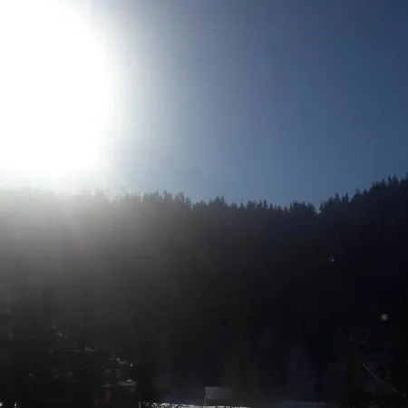 Легенда Карпат 布克维